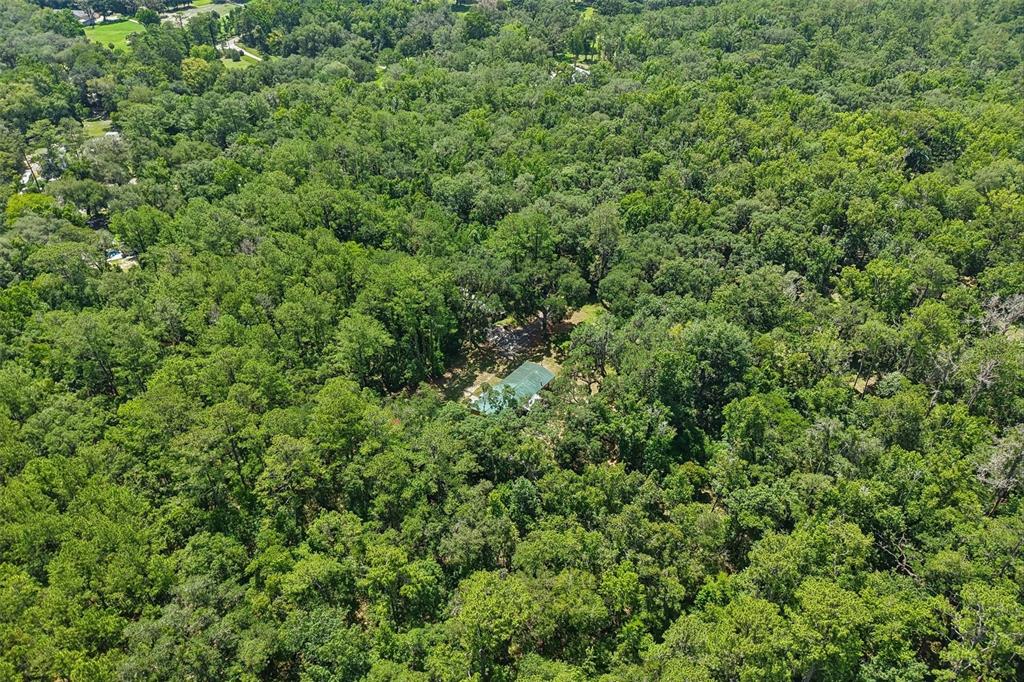 6221 Emerson Road Brooksville, FL 34601 - Photo 37 of 45