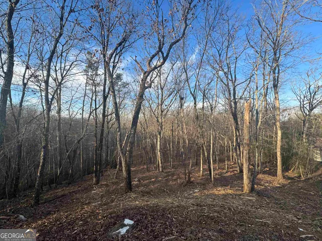 $54,900 | Lot 57 Teel Mountain Drive, Cleveland, GA 30528