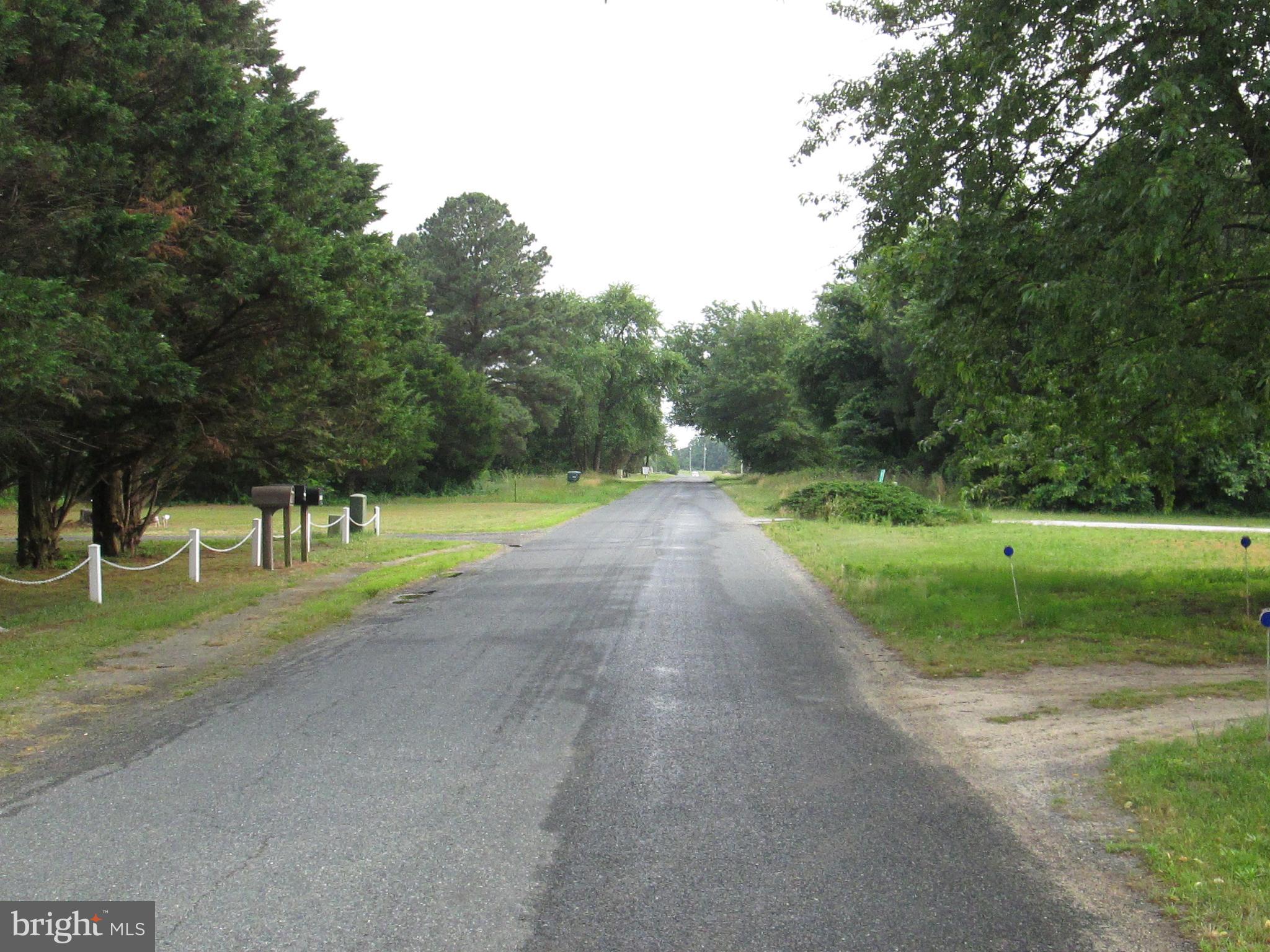 6729 Bailey Store Road Federalsburg, MD 21632 - Photo 4 of 9 Street Scene