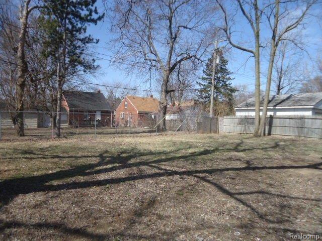 19131 Burt Road Detroit, MI 48219 - Photo 6 of 12 261-848945-Yard.JPG