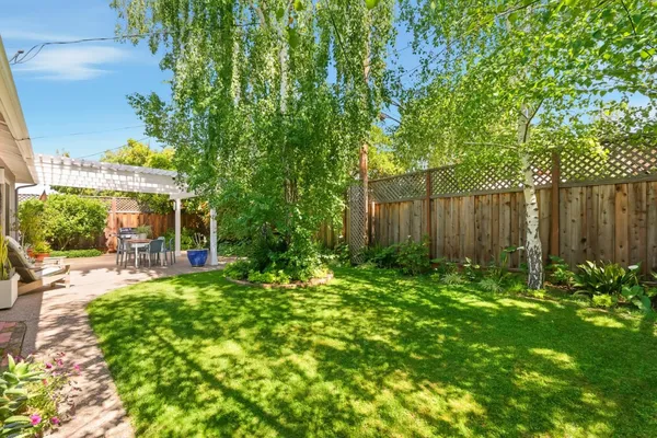a view of a garden with large trees