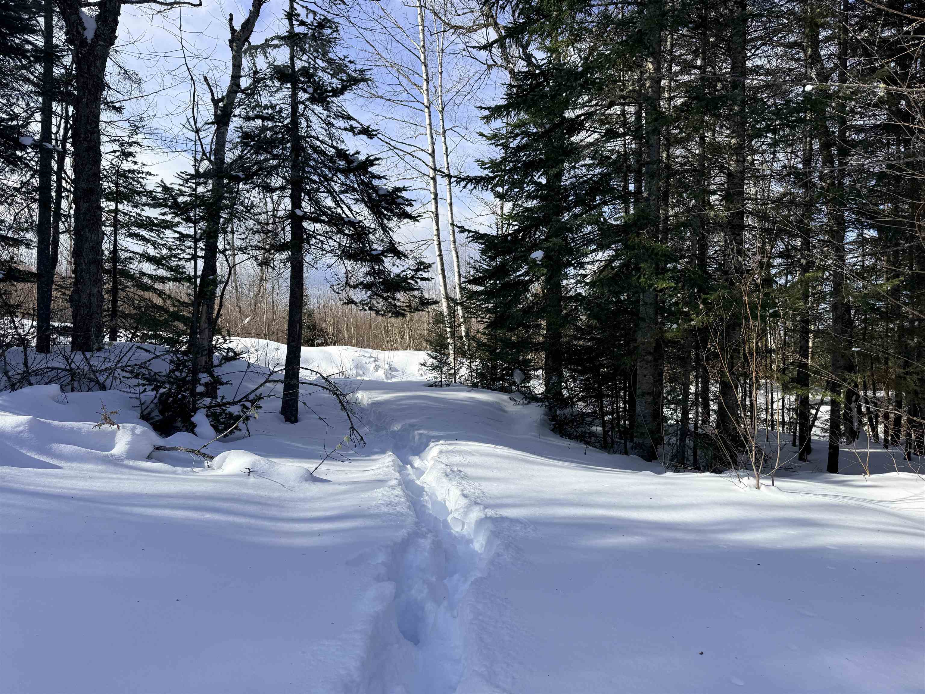 0 Tug Mountain Road Lunenburg, VT 05906 - Photo 15 of 18