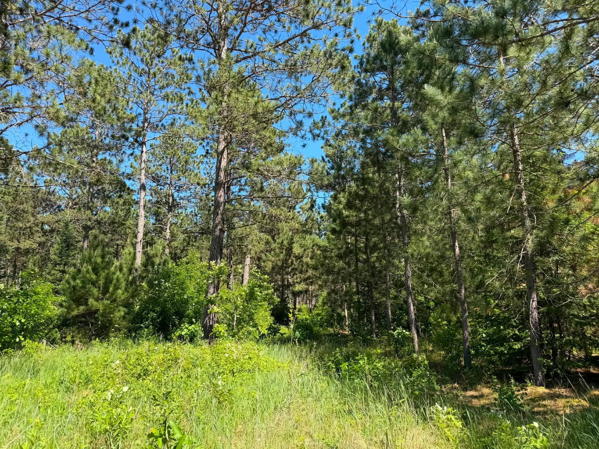 10998 Grange Road Northwest Bemidji, MN 56601 - Photo 6 of 7