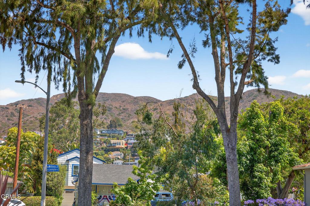 2418 Lexington Drive Ventura, CA 93003 - Photo 35 of 36 a view of a tree in a yard