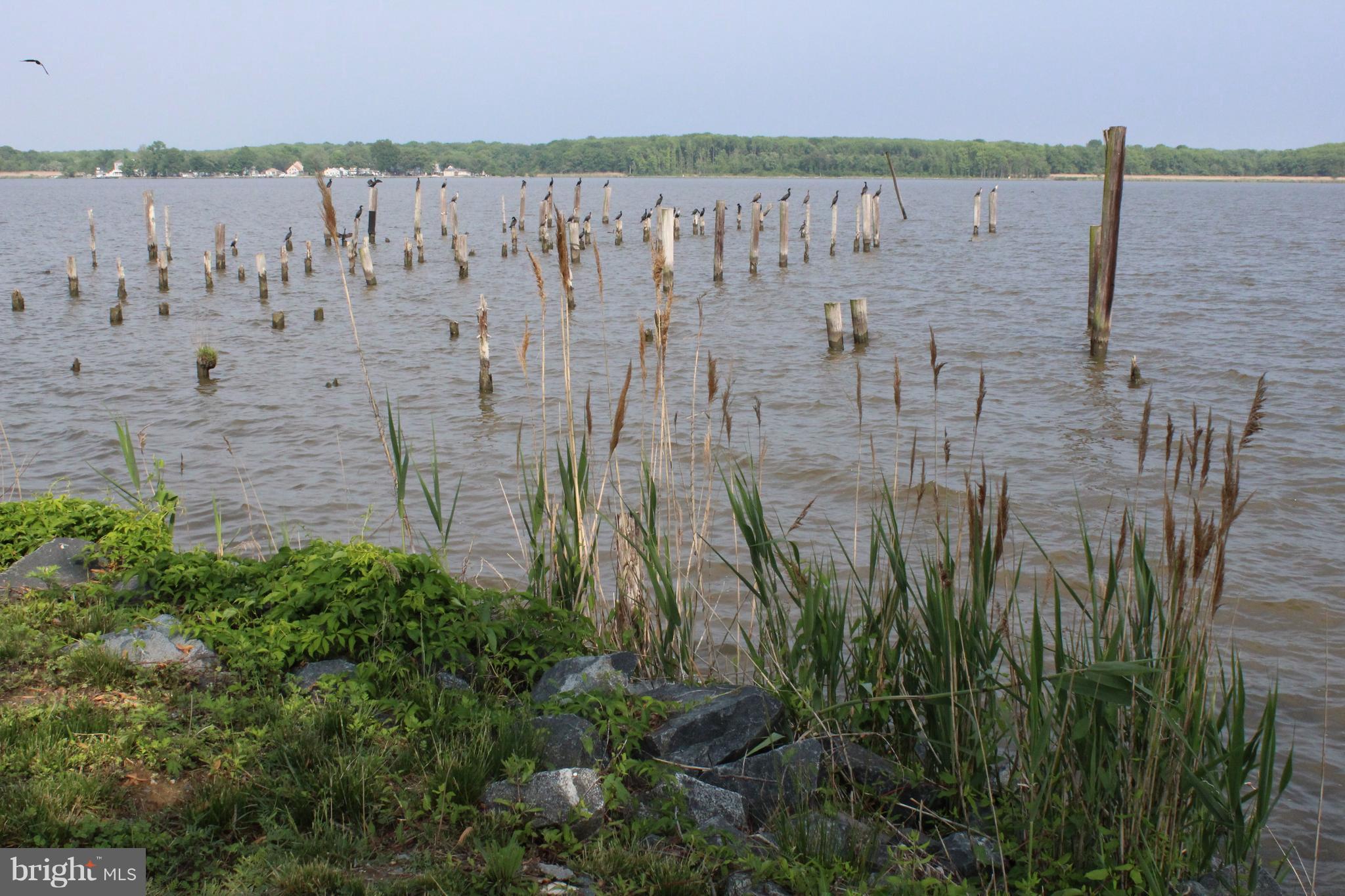 4262 Lynhurst Road Baltimore, MD 21222 - Photo 27 of 30 Beautiful Sea Grasses and Nature Surrounds You