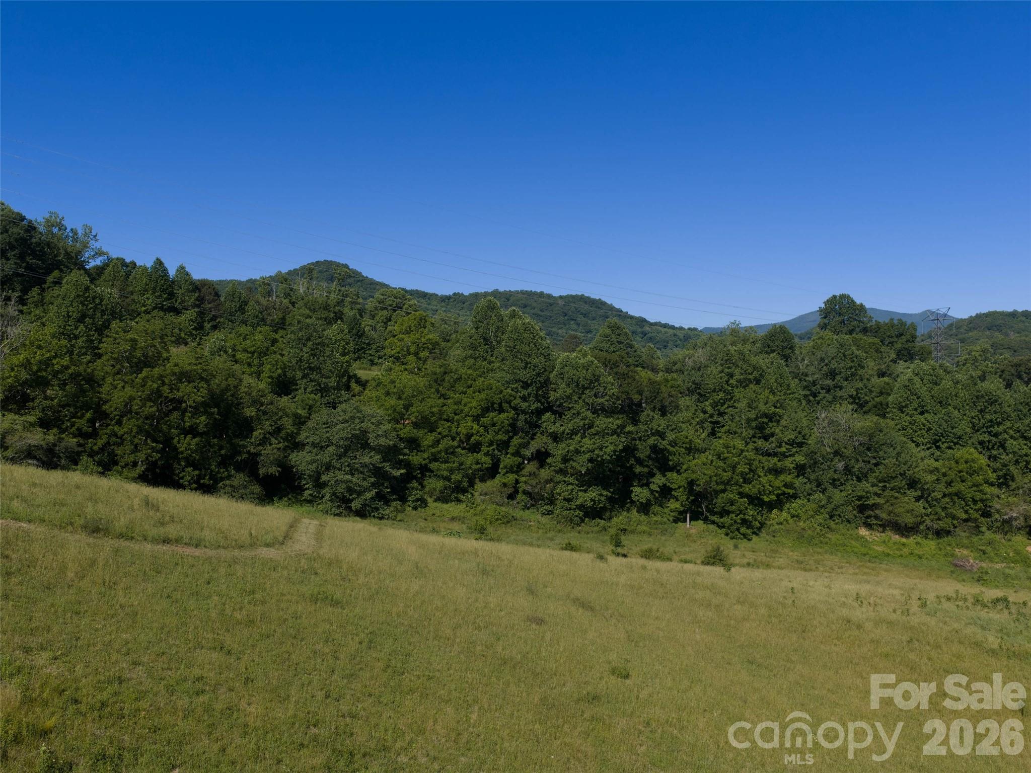 0 Little Savannah Road Sylva, NC 28779 - Photo 11 of 18
