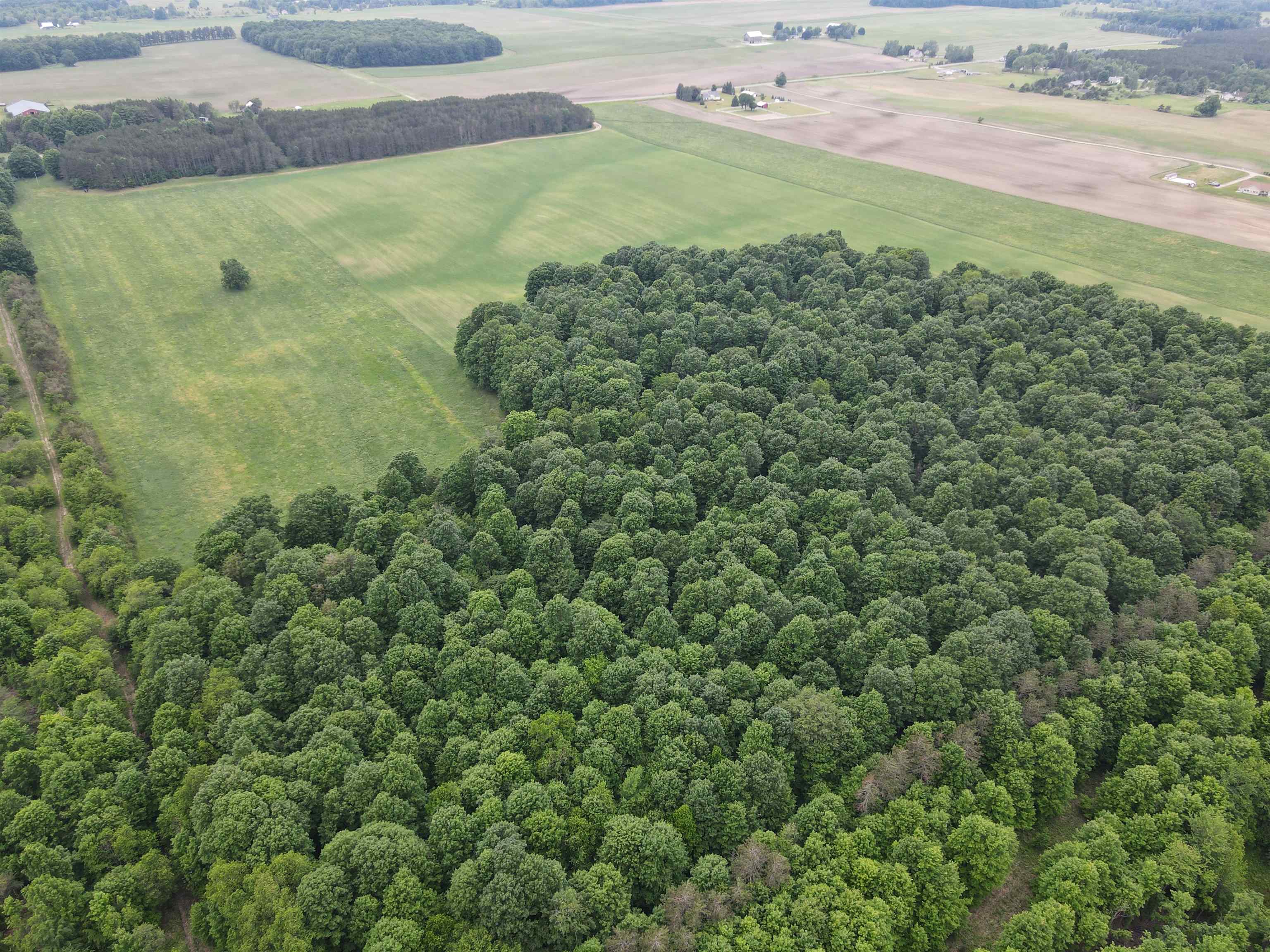 120-acres Blackman Road Kingsley, MI 49649 - Photo 9 of 12