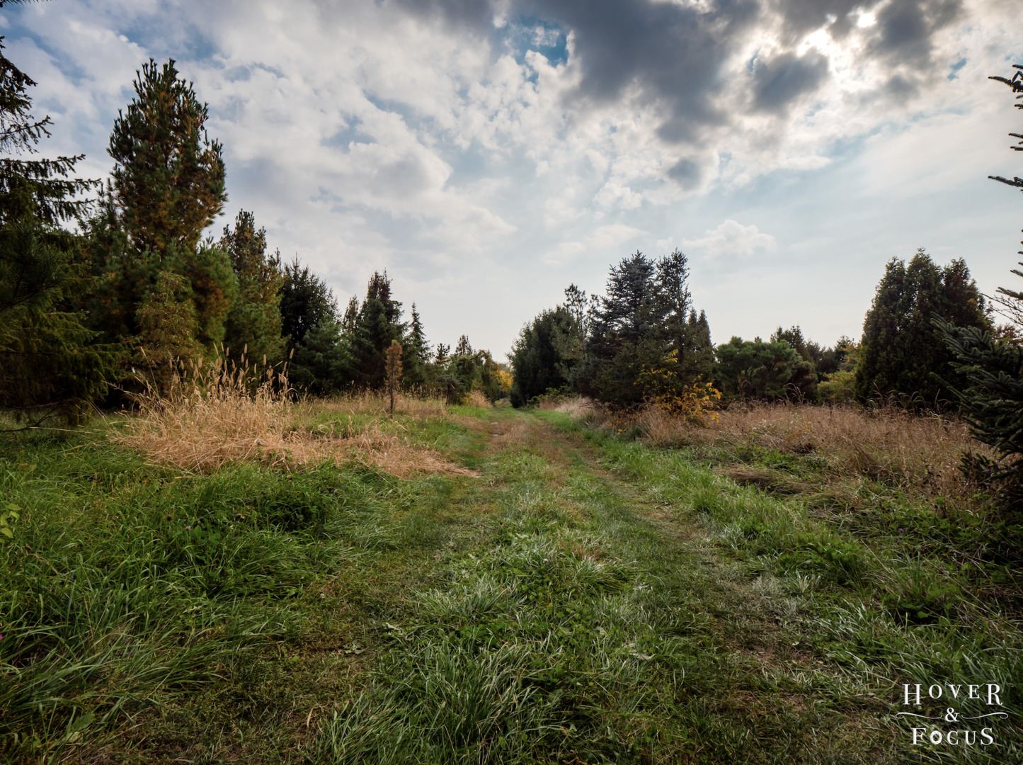 3004 Stieg Road Woodstock, IL 60098 - Photo 29 of 35 a view of a lush green space