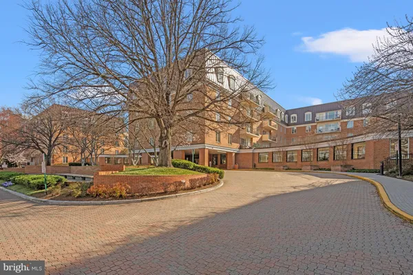 a street view with large trees