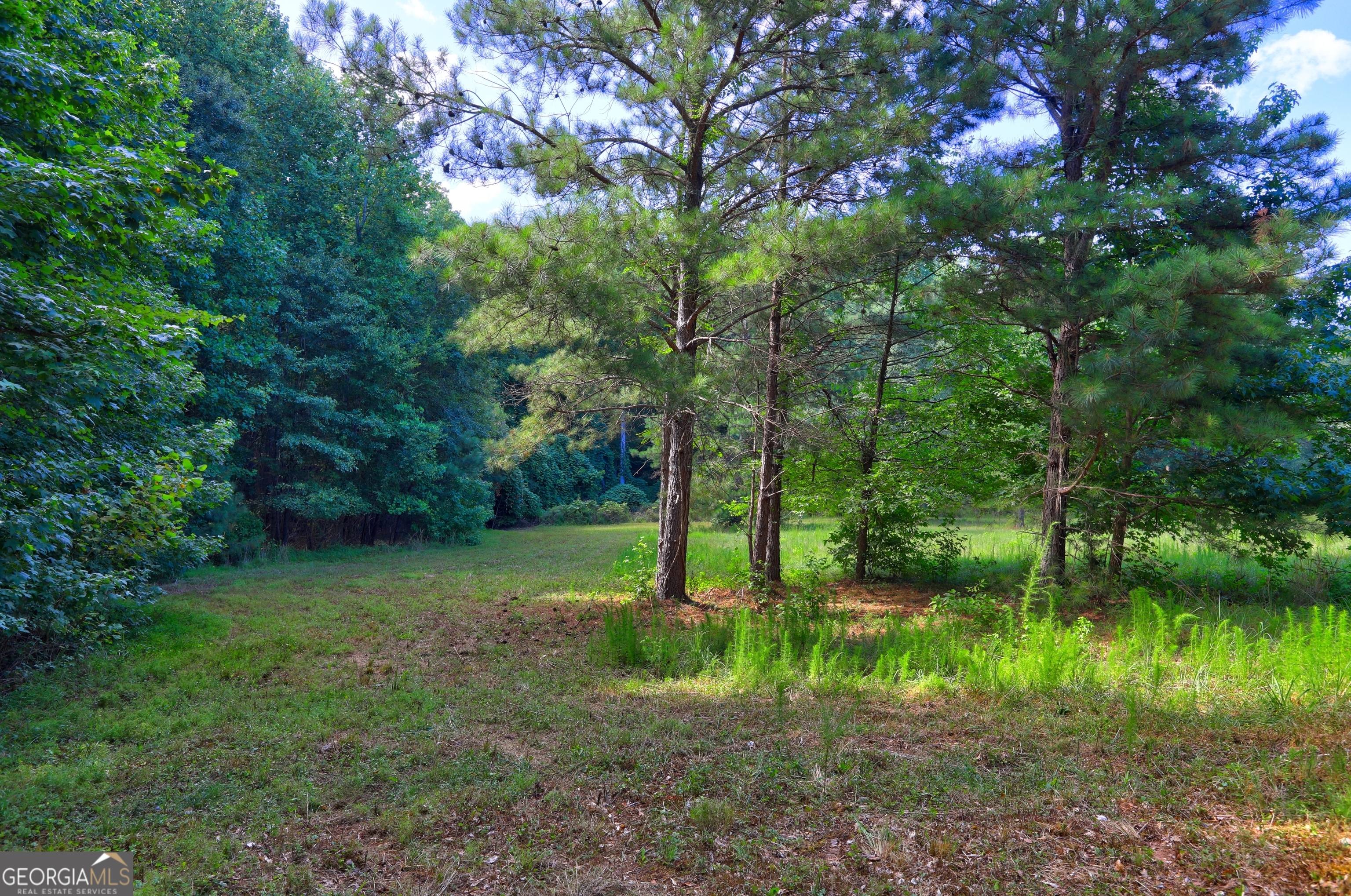 0 New Hope Church Road Loganville, GA 30052 - Photo 11 of 33 a view of a garden with a tree