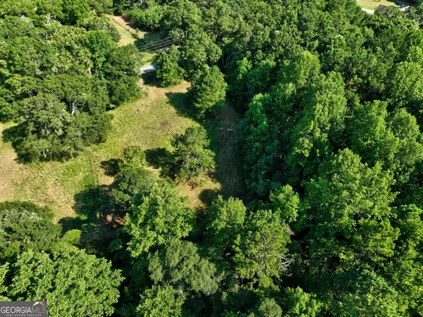 a view of a garden with plants