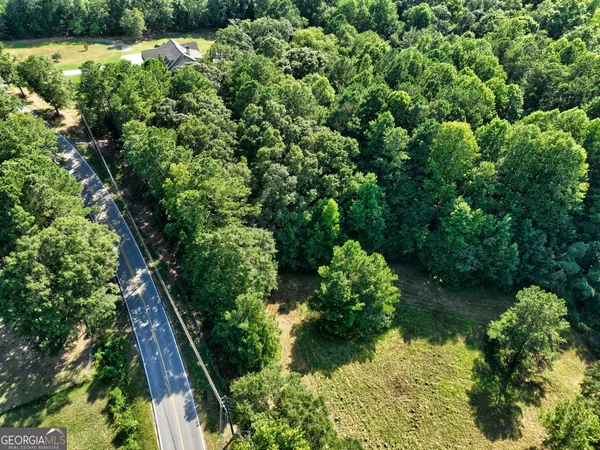 a view of a garden with plants