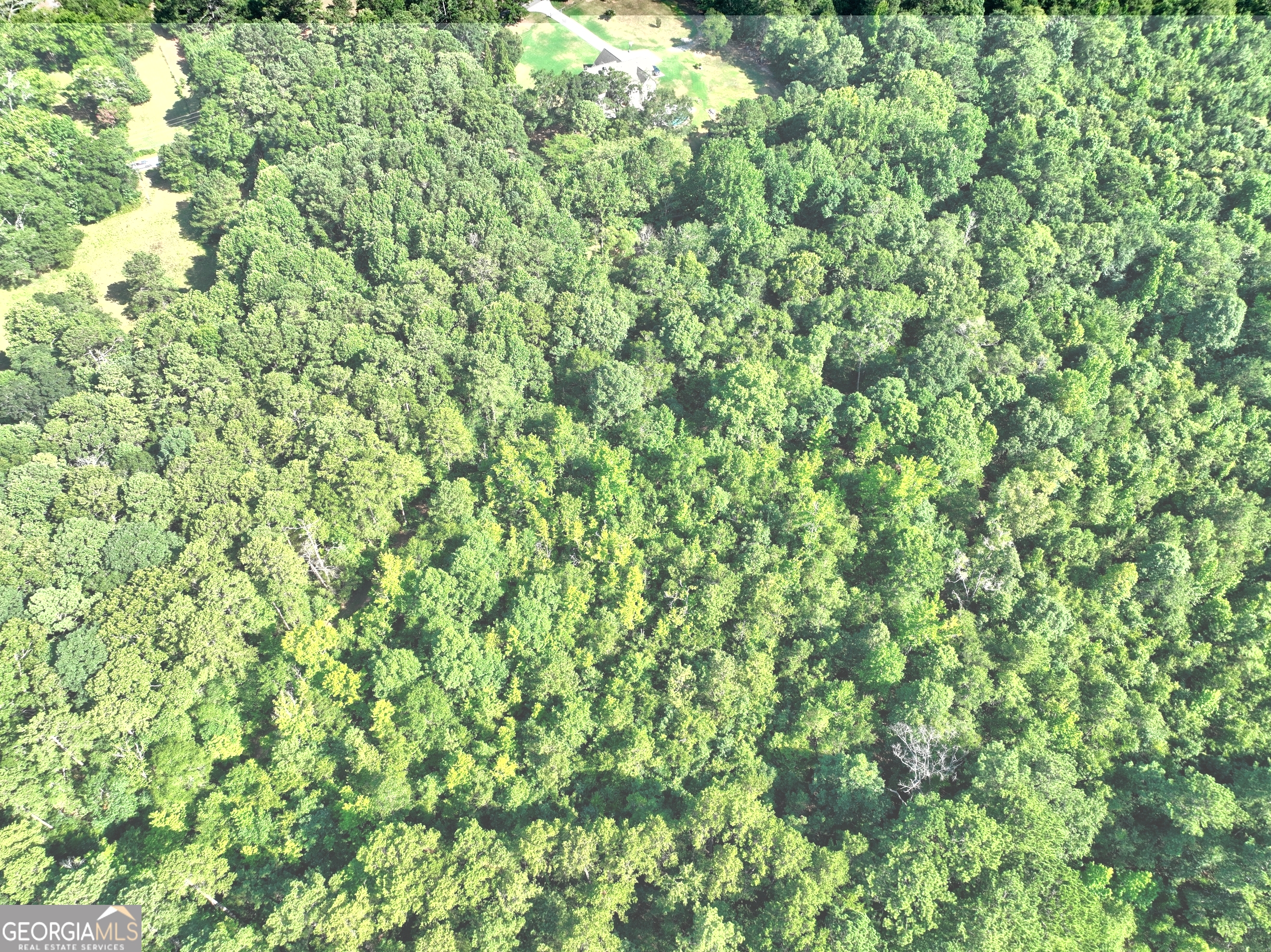 0 New Hope Church Road Loganville, GA 30052 - Photo 19 of 33 a view of a lush green forest