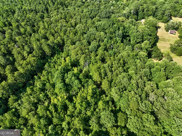 a view of a lush green field