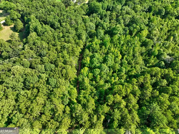 a view of a lush green field
