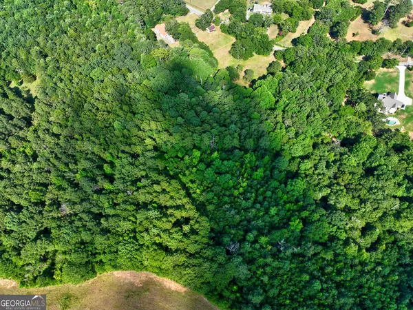 a backyard of a house with lots of green space and mountain view