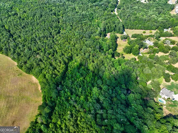 a view of a garden with a tree