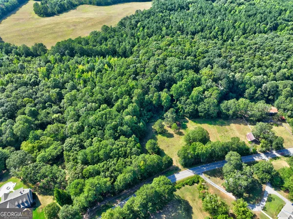a view of a garden with plants