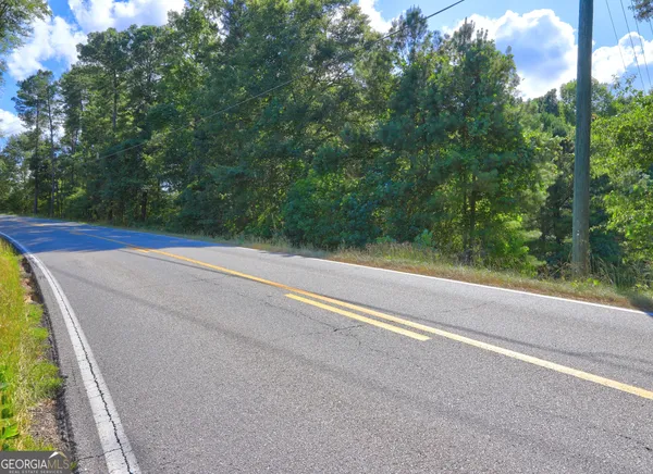a view of a yard with a trees