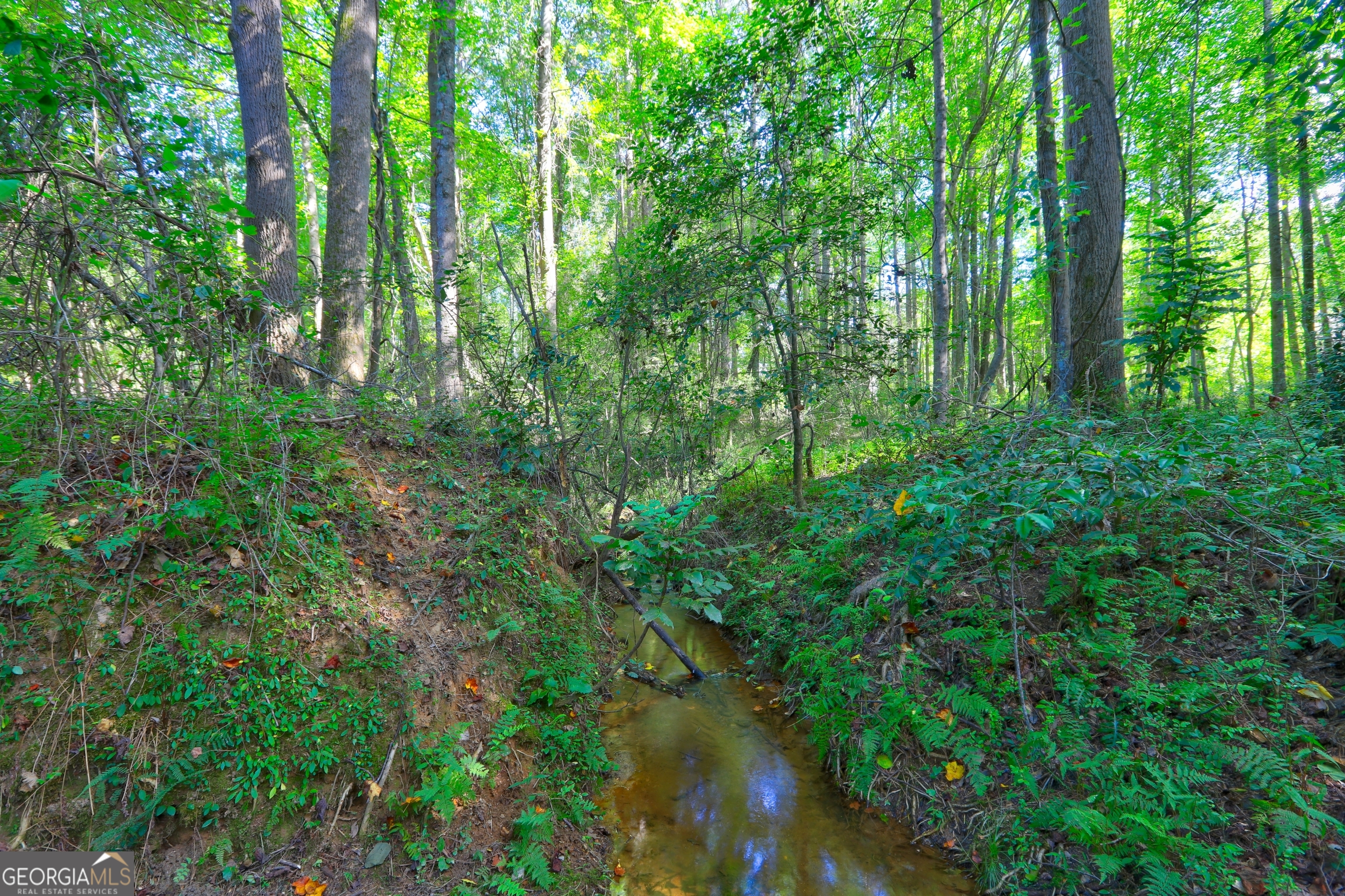 0 New Hope Church Road Loganville, GA 30052 - Photo 6 of 33 a view of forest