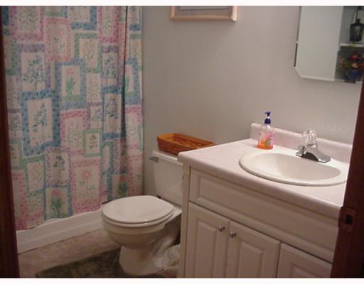 3926 Shepard Road Gibsonia, PA 15044 - Photo 14 of 14 Master Bath/Spa. One of three full bathrooms