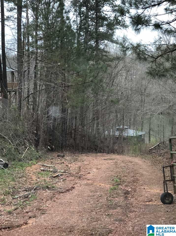 Lot 75 South Fork Road, Unit LOT 75 Quinton, AL 35130 - Photo 5 of 7