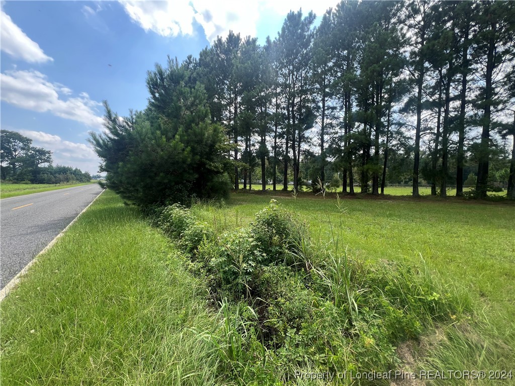 Edwards Store Rd Mount Mount Olive, NC 28365 - Photo 3 of 10