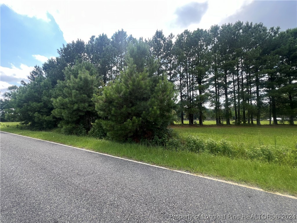 Edwards Store Rd Mount Mount Olive, NC 28365 - Photo 4 of 10