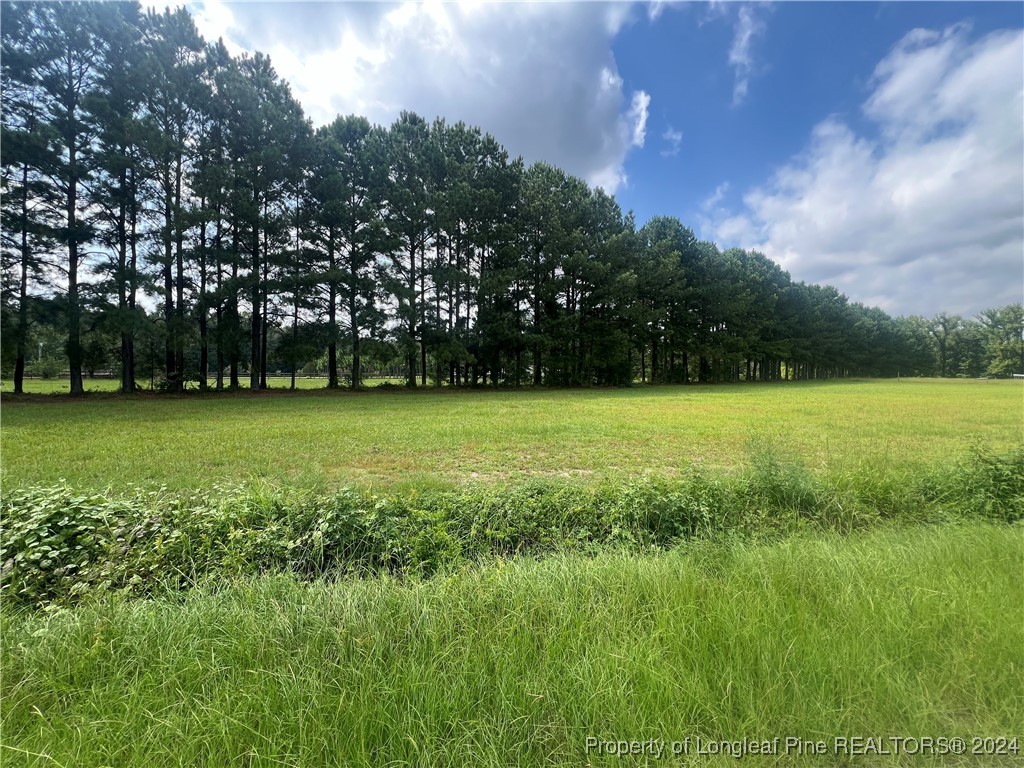 Edwards Store Rd Mount Mount Olive, NC 28365 - Photo 6 of 10
