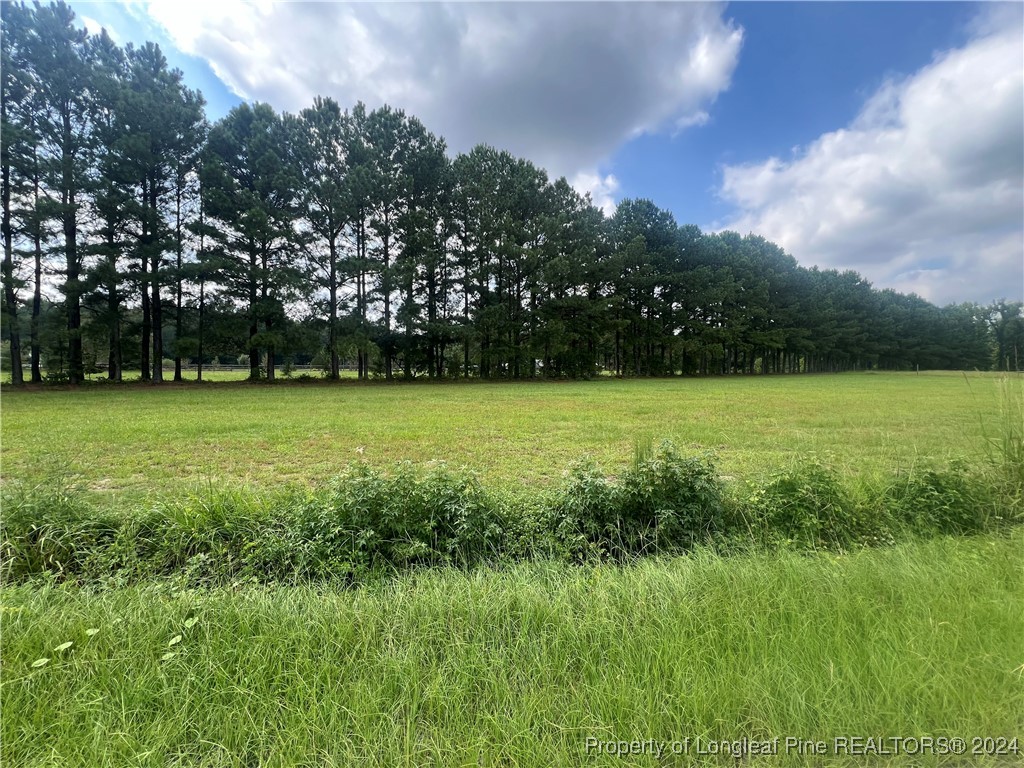 Edwards Store Rd Mount Mount Olive, NC 28365 - Photo 7 of 10