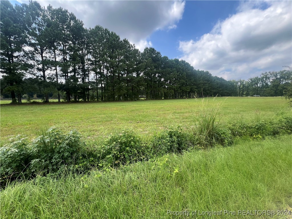 Edwards Store Rd Mount Mount Olive, NC 28365 - Photo 8 of 10