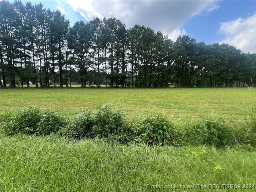 Edwards Store Rd Mount Mount Olive, NC 28365 - Photo 9 of 10