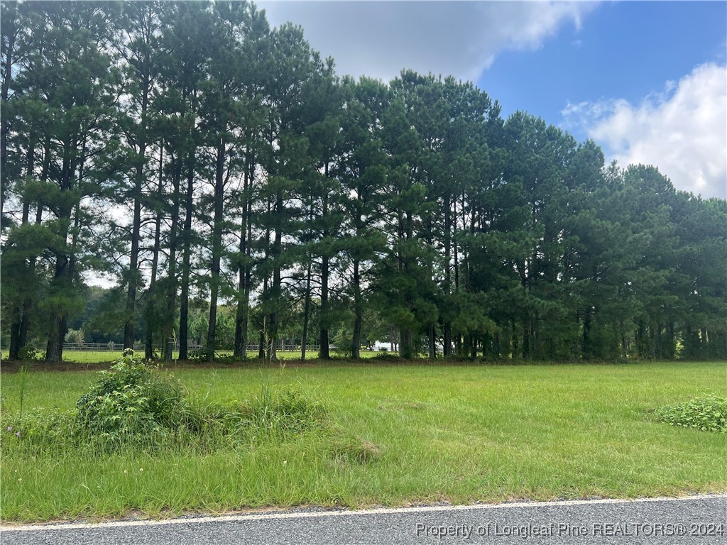 Edwards Store Rd Mount Mount Olive, NC 28365 - Photo 10 of 10