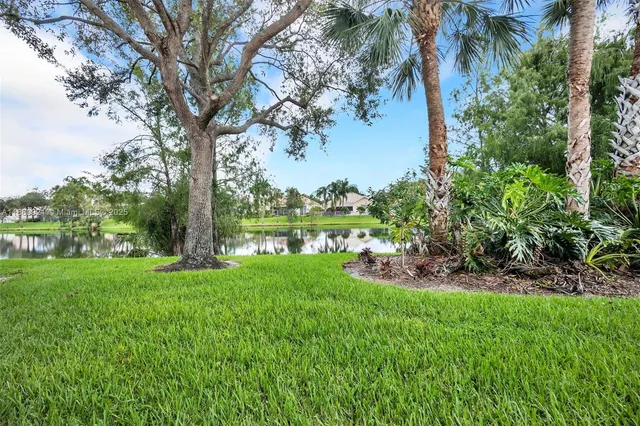 a view of a garden with a tree