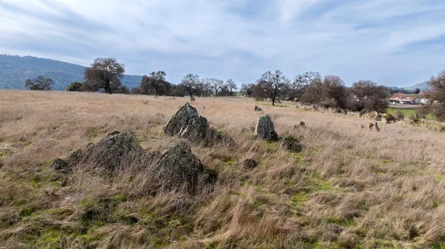 a view of a field with trees in background