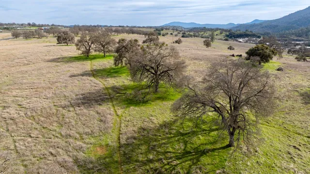 a view of a yard with an outdoor space