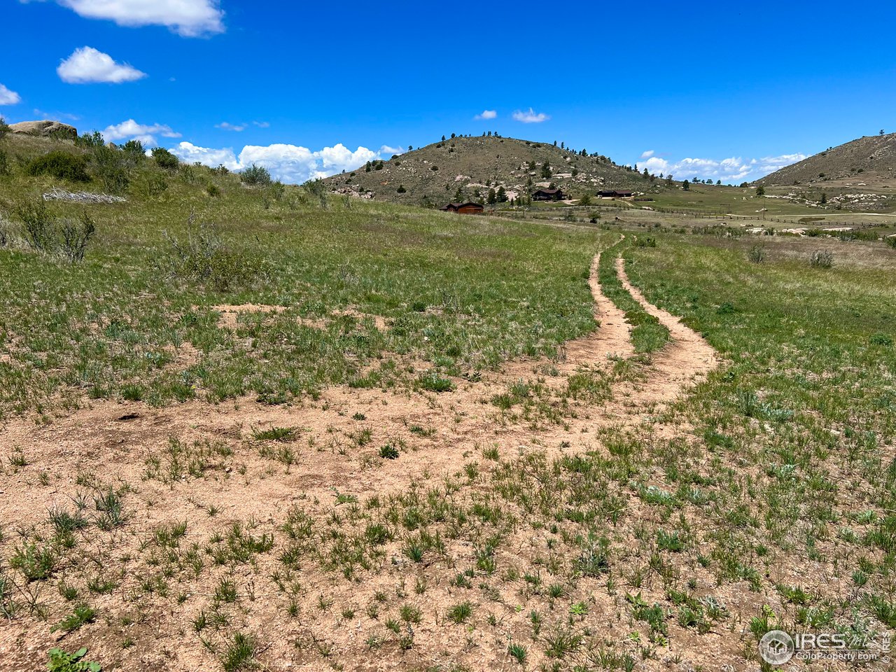 273 Granite Ridge Road Laporte, CO 80535 - Photo 40 of 40 North meadow on the property.