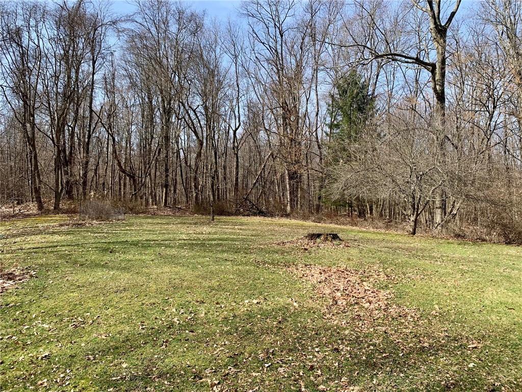 239 Crystal Spring Road Sandy Lake, PA 16145 - Photo 33 of 40 a view of a field with trees