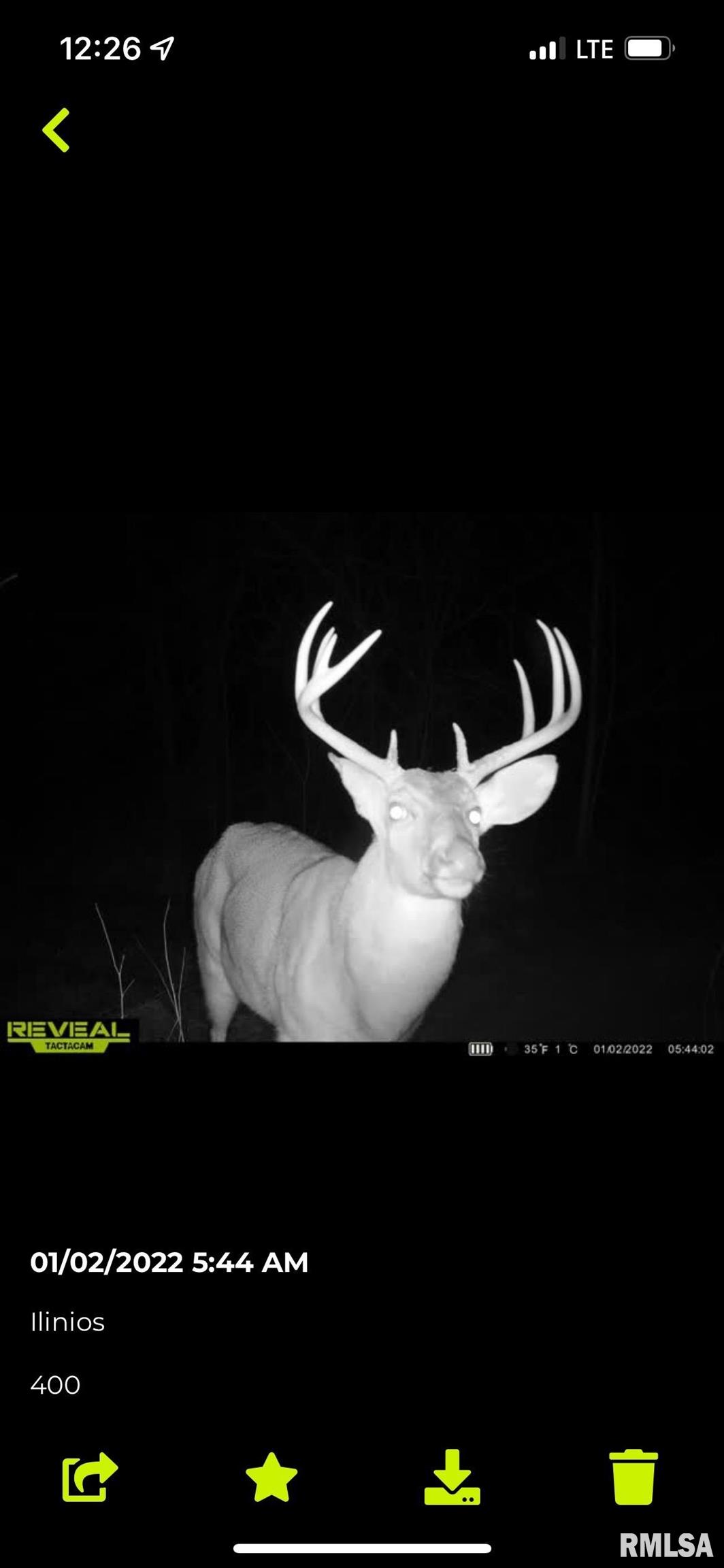 Tbd Hound Dog Ridge Road Vienna, IL 62995 - Photo 15 of 16