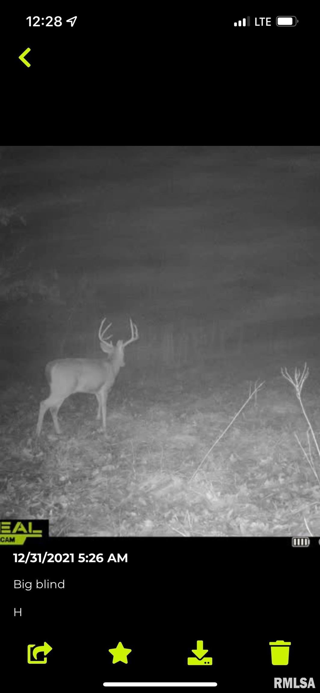 Tbd Hound Dog Ridge Road Vienna, IL 62995 - Photo 8 of 16