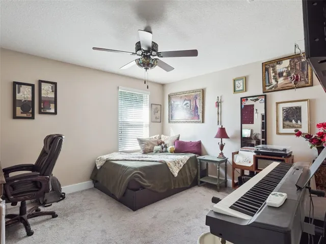 a view of a garden with a lot of flower plants