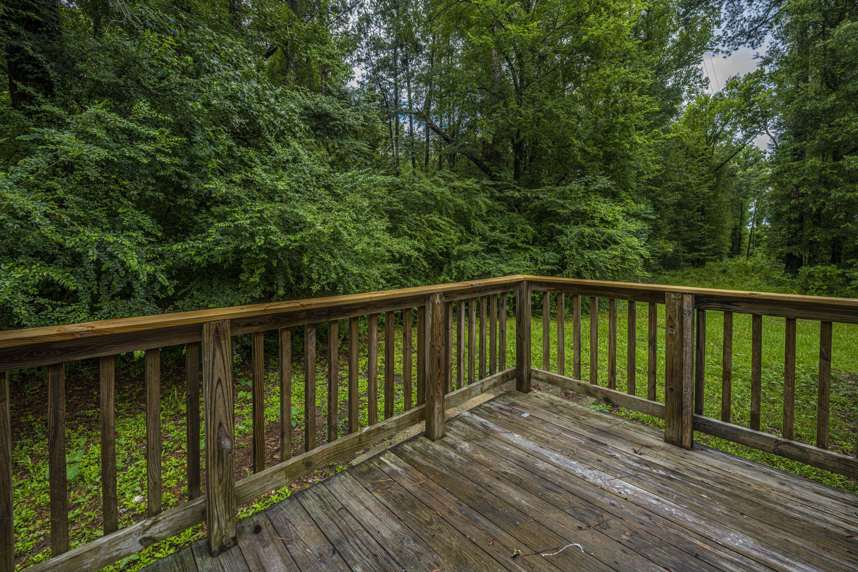 265 Cherry Lane St. George, SC 29477 - Photo 48 of 50 DSC_4004