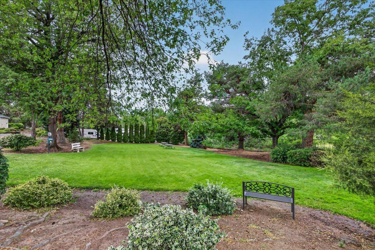 2647 Freedom Way Medford, OR 97504 - Photo 32 of 38 a view of a park with large trees