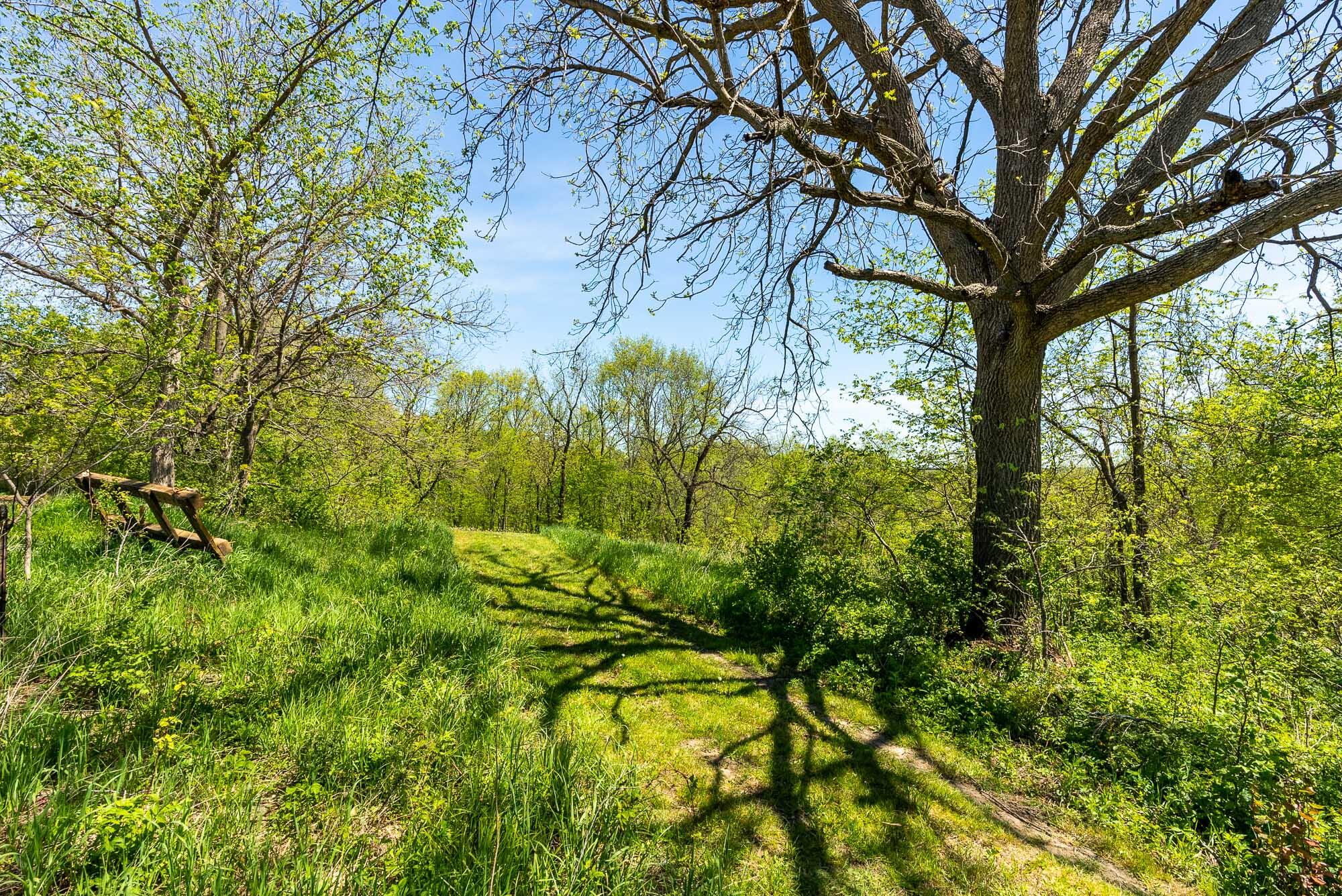 15999 Biba Road Muscoda, WI 53573 - Photo 85 of 103 Grant-County-WI-160-Acres-Land-For-Sale-