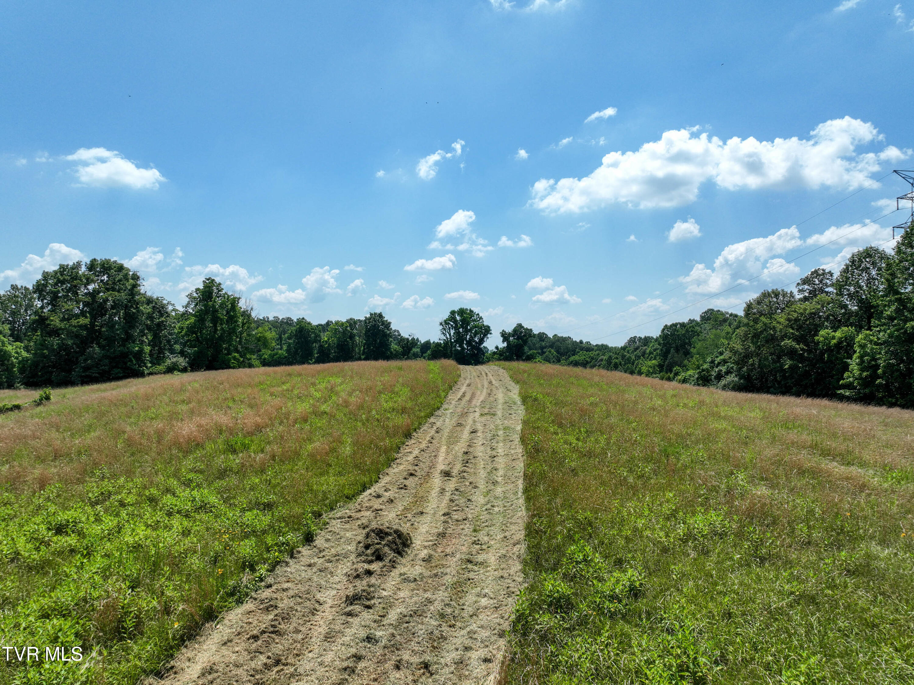 133-acres Devault Bridge Road Piney Flats, TN 37686 - Photo 11 of 24 TBD Devault Bridge Rd Drone BURTON-7