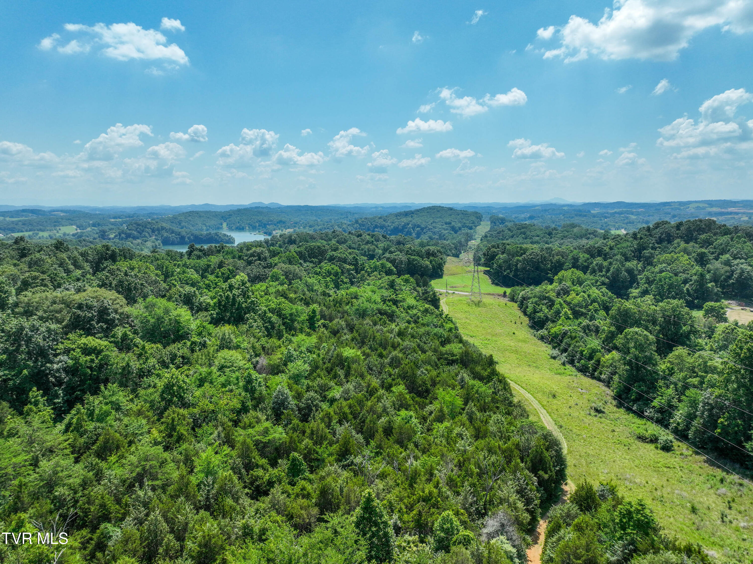 133-acres Devault Bridge Road Piney Flats, TN 37686 - Photo 21 of 24 TBD Devault Bridge Rd Drone BURTON-17