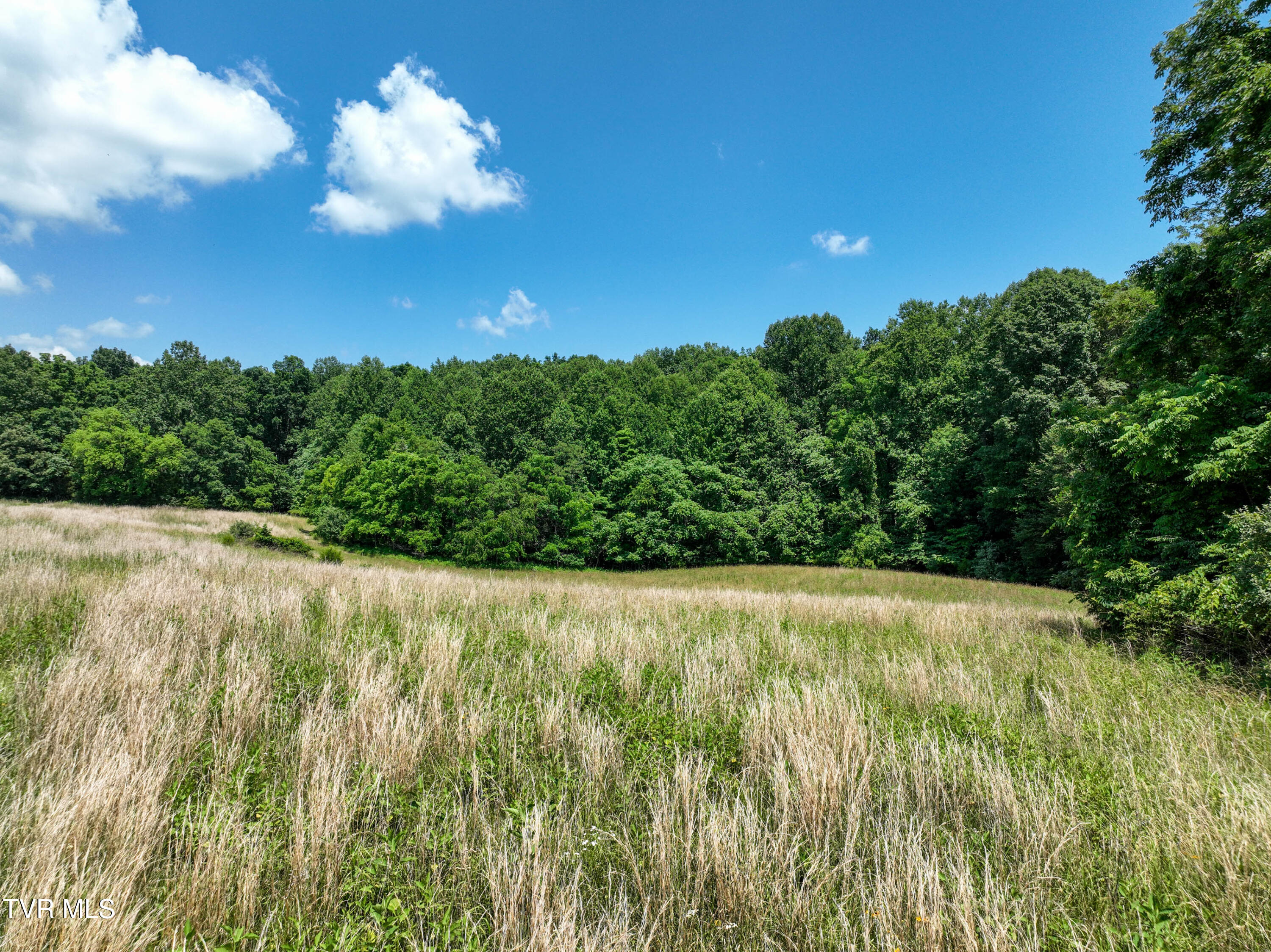 133-acres Devault Bridge Road Piney Flats, TN 37686 - Photo 7 of 24 TBD Devault Bridge Rd Drone BURTON-5