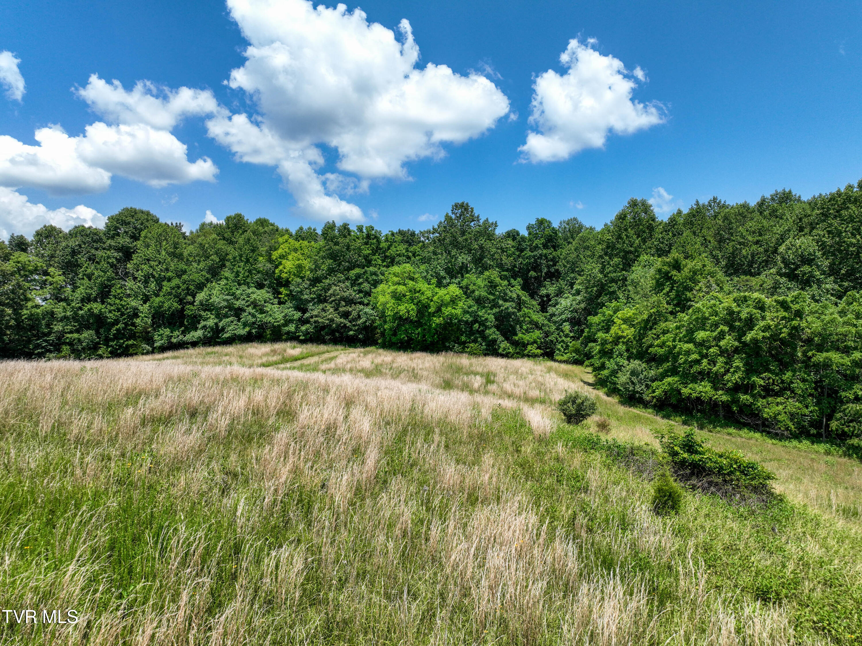 133-acres Devault Bridge Road Piney Flats, TN 37686 - Photo 10 of 24 TBD Devault Bridge Rd Drone BURTON-6