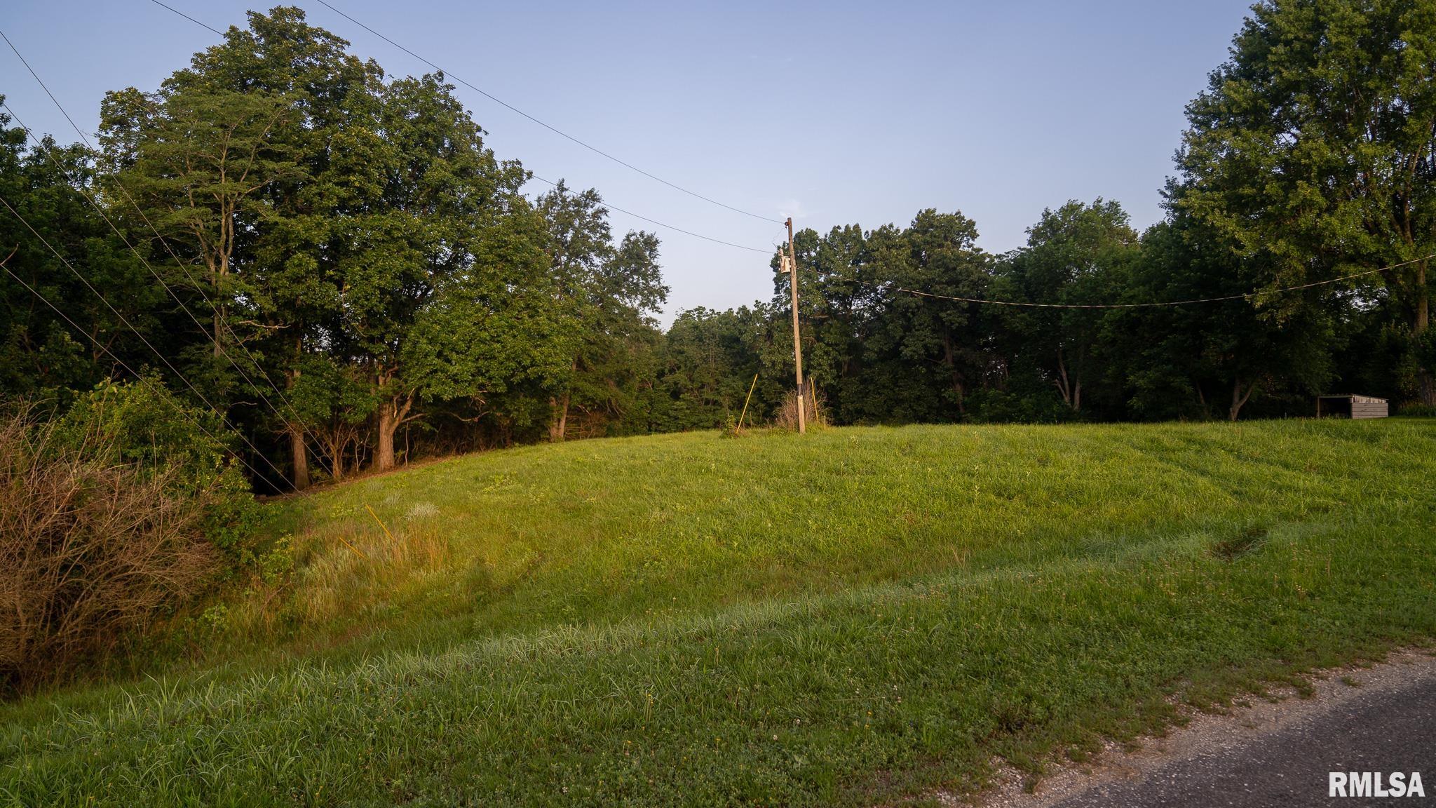 1 Preston Hollow Road Murrayville, IL 62668 - Photo 27 of 45