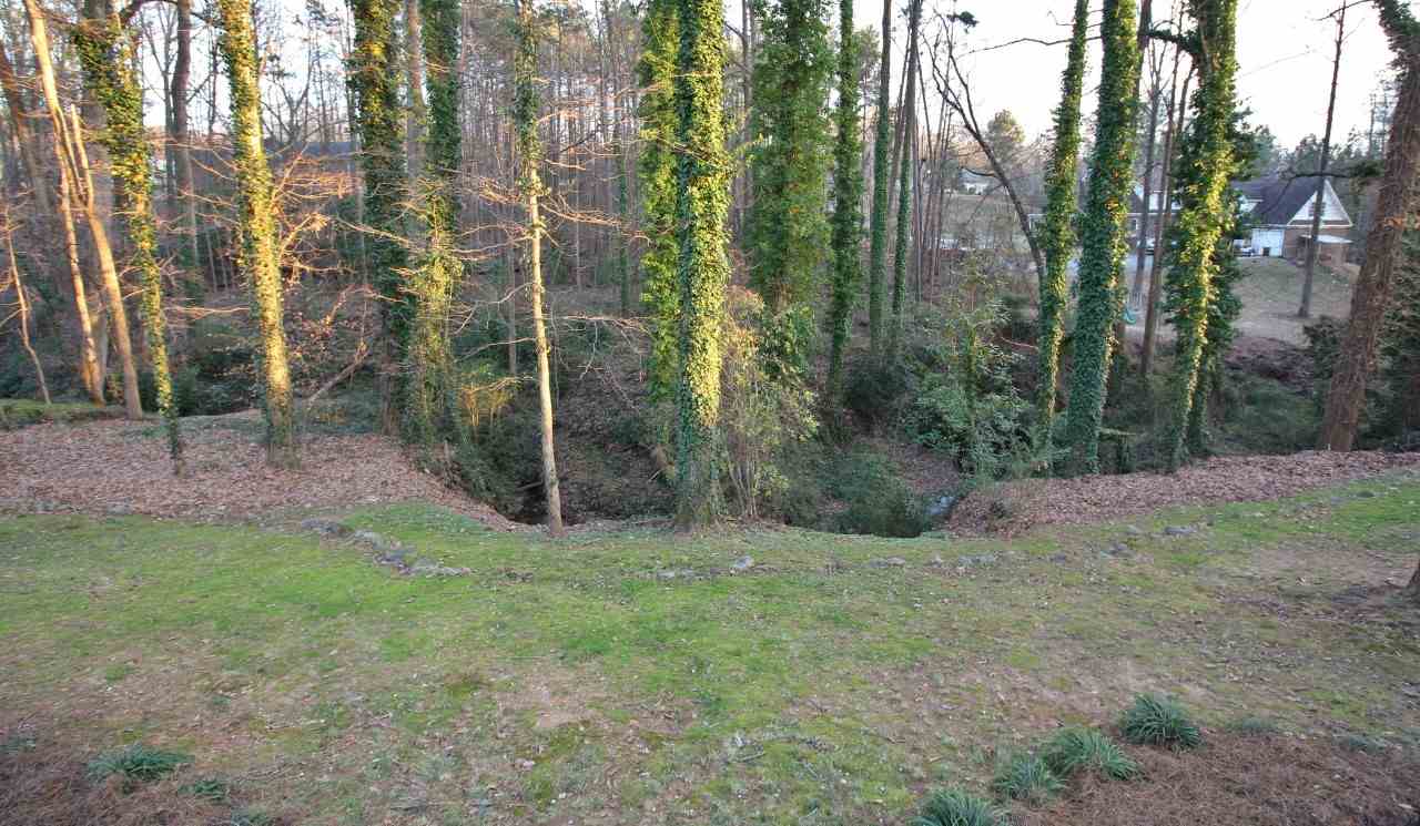 436 Ransdell Drive Spartanburg, SC 29307 - Photo 24 of 25 Gallery Image 24